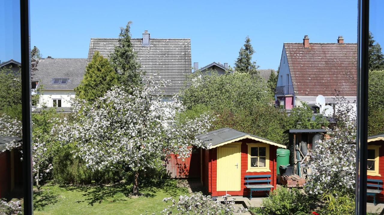 Am Stadtgarten ジンメン エクステリア 写真